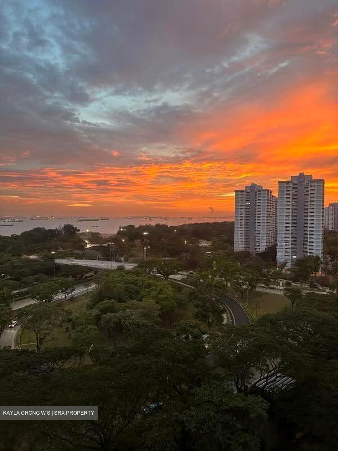 Bayshore Park (D16), Condominium #610373621